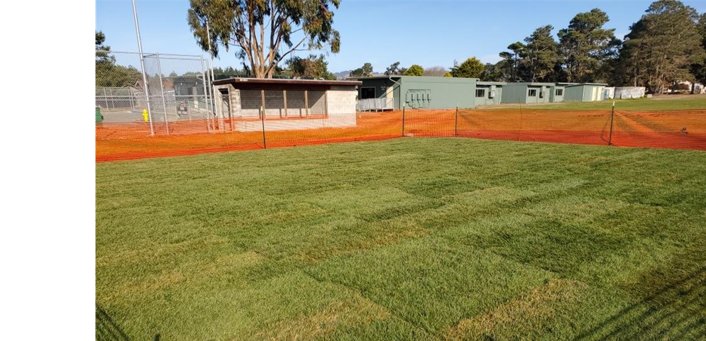 Thanks for all the hard work maintaining our fields!